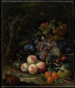 Nature morte avec fruits, feuillage et insectes, c.1669